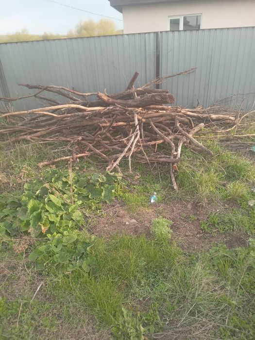 Отдам даром дрова