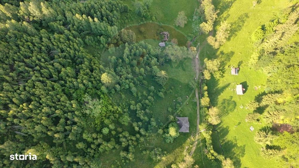 Teren 38,704mp Sirnea | 2.000 mp Intravilan | 36,704 Extravilan