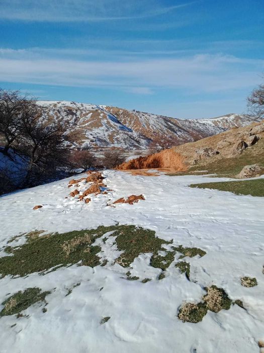 Продается участок в ущелье Бургулюк (Акмешит)