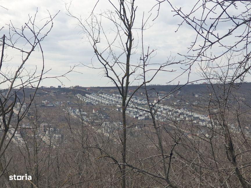 Teren intravilan IASI - COPOU - VITICULTORI -  in vecinatatea padurii