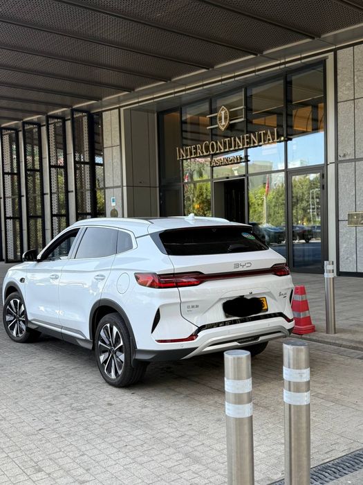 Byd champion smart
