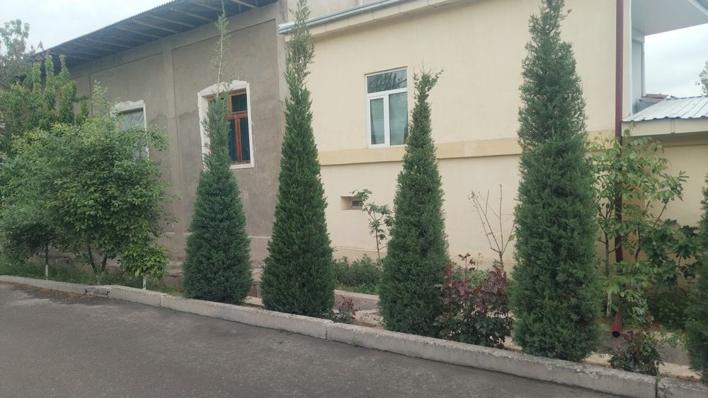 Archa ekish archa kesish