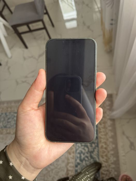 Iphone 12 про мах и 13
