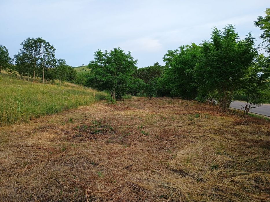 2 terenuri intravilan  intre Apahida si Cojocna 35 € mp.