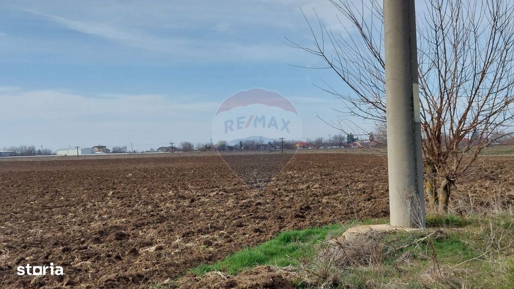 Teren 5,000mp Moara Vlasiei / Strada Morii