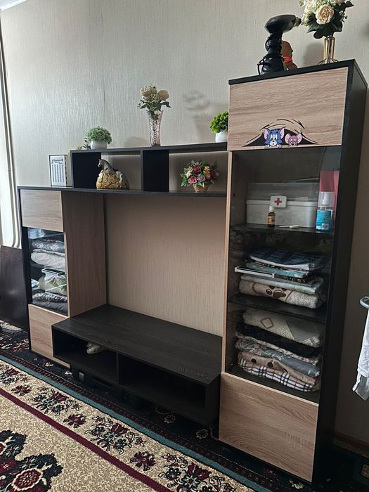 Стол со стульями, так же стенка