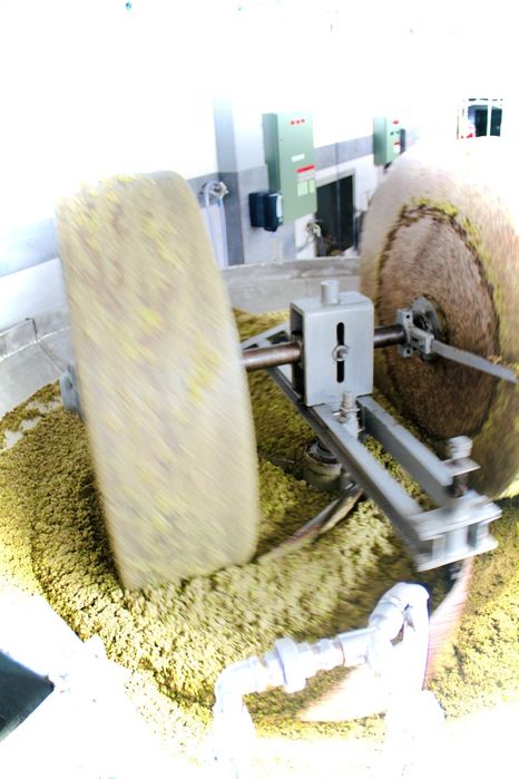 Ulei de măsline Grecia, brut, cu pulpă