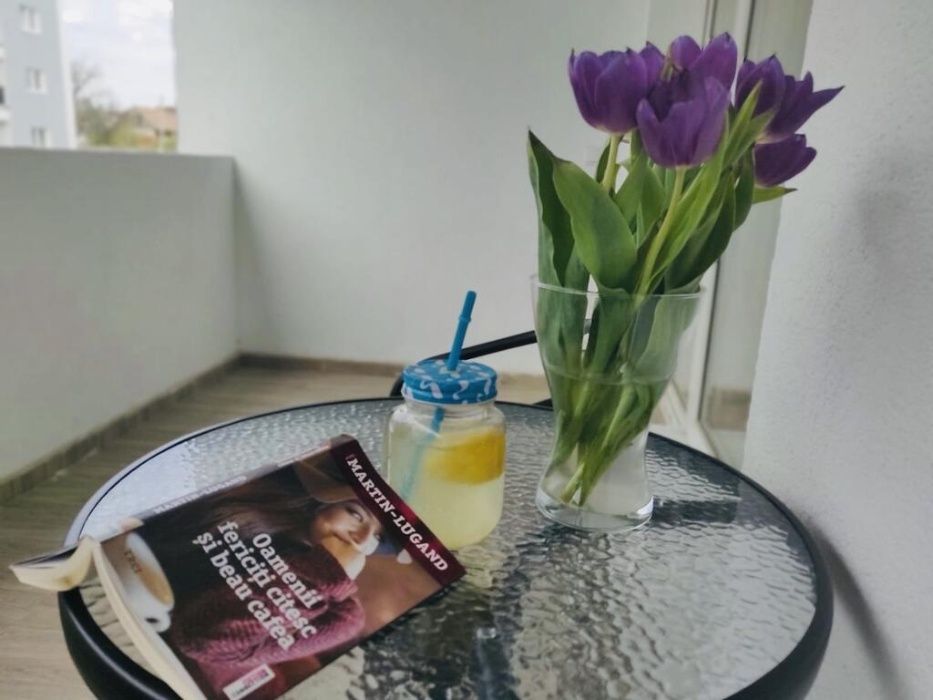 Apartament regim hotelier 3 camere Sibiu.Fara escorte.Fara petreceri