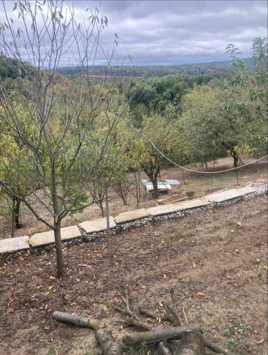 Вила в местност Козлуджа