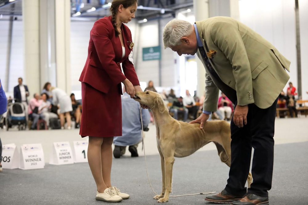 ҚҰМАЙ ТАЗЫ сатылады