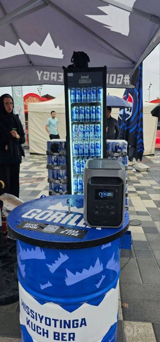 Аренда UPS 220В — резервное питание для магазина и квартиры