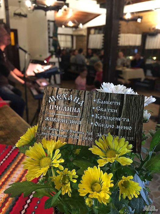 Дава се под наем Заведение в Варна, м-т Пчелина - 500 кв.м за 1530 € - Снимка #15