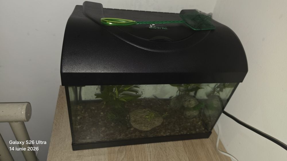 Acvariu de 20 litri pentru pesti