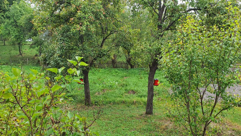 Teren intravilan 8915 mp si Casa 70 mp,  in Galeș, judetul Arges