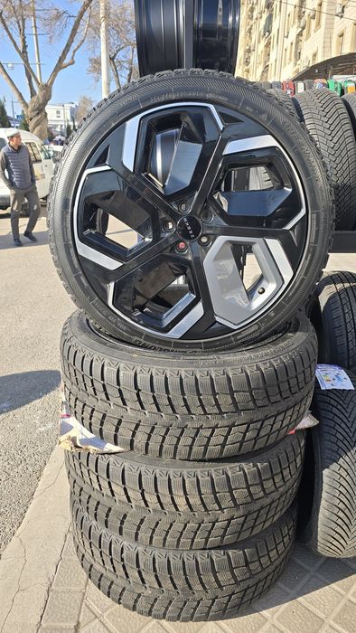 22 razmerli zeekr disk