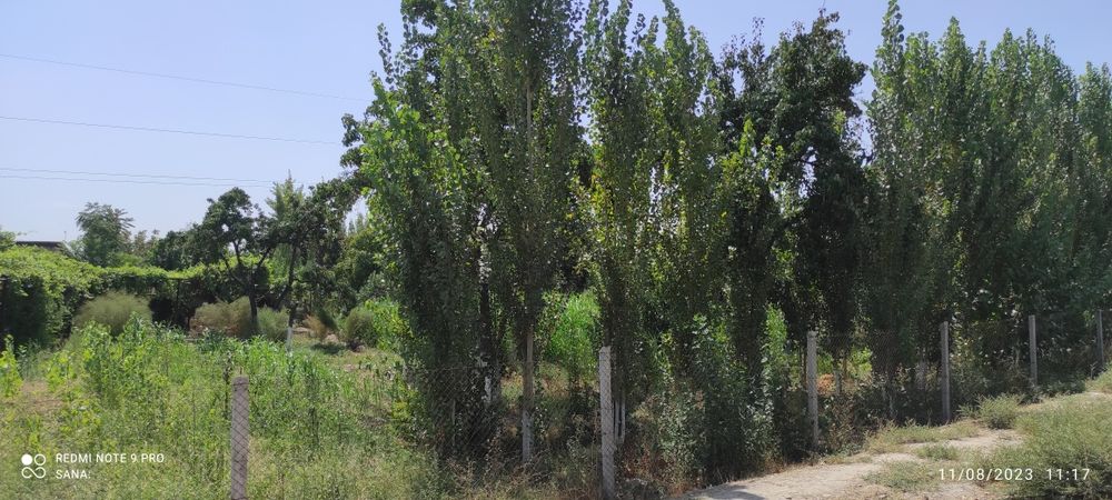 Yer uchastkasi sotiladi