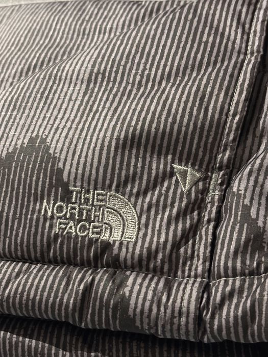 Geaca the north face
