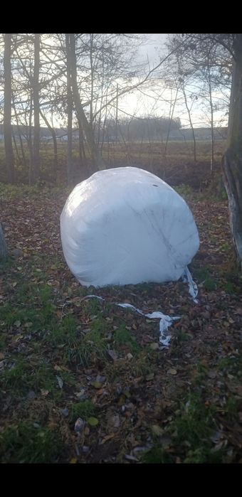 Vand baloti fan infoliati