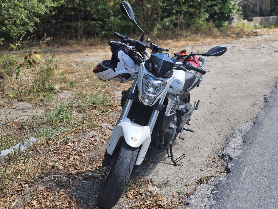 Мотор Benelli BN 302
