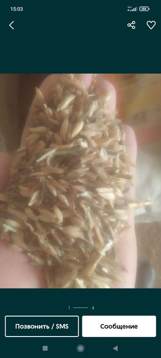 ОТХОДЫ Полова россыпью корма отруби