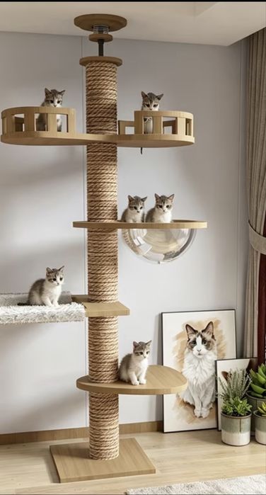 Катерушка за котки