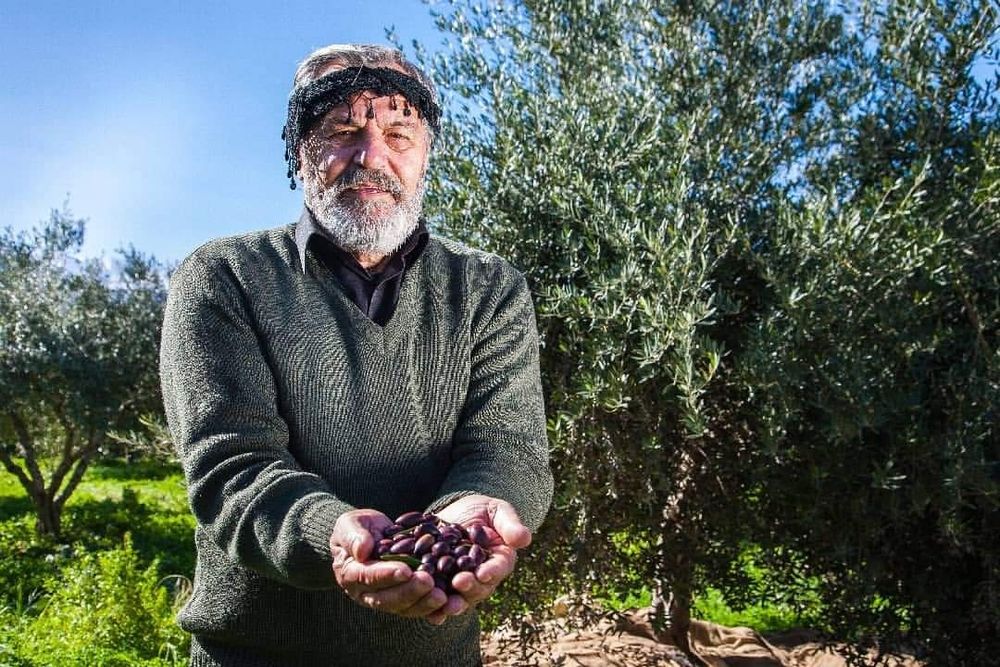 Ulei de măsline Grecia, brut, cu pulpă