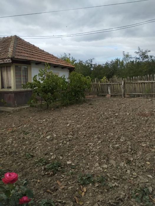 Teren Făurei-Sat