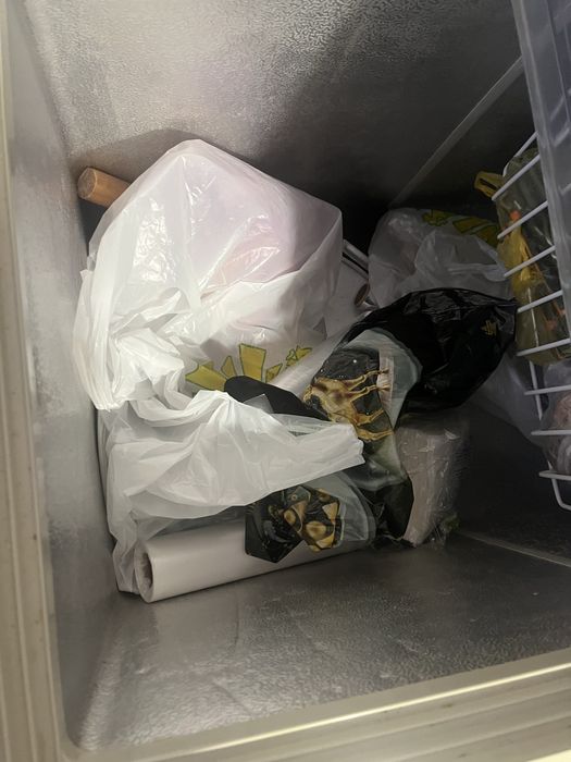 Морозильная камера