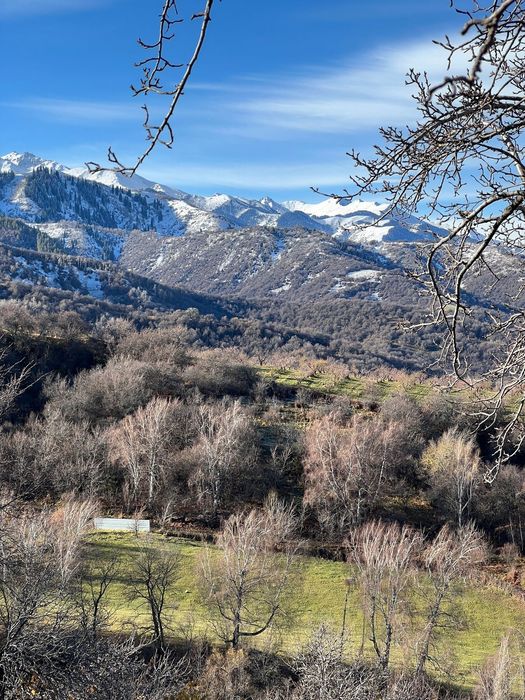 Домик в горах Алматы