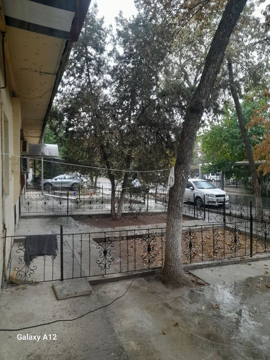 Куйлук Массив 1   1/1/5