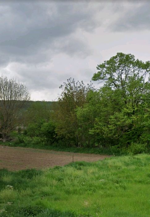 Продава се Парцел в с. Ушинци, Област Разград - 1555 кв.м за 20 €/кв.м - Снимка #3