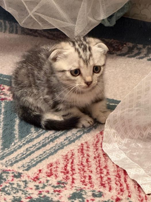 Вязка вязка вязка