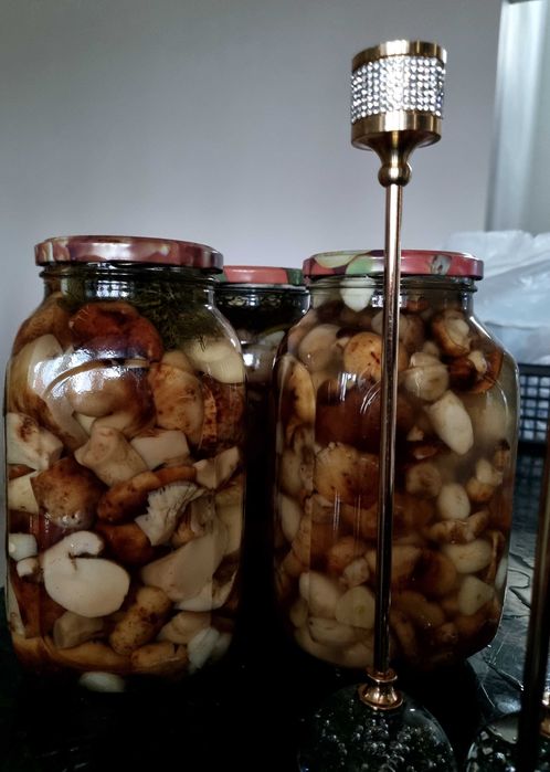 Продам грибы валуи