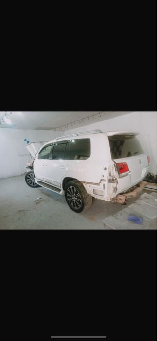 Костоправ маляр