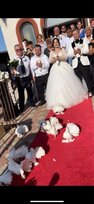 Porumbei pentru nuntă