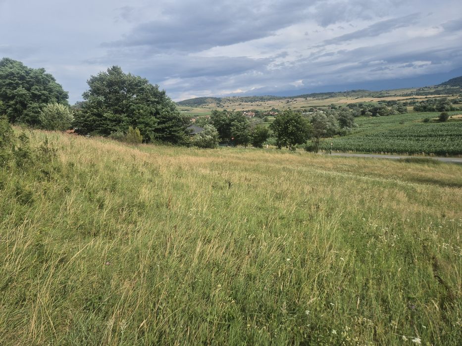 Teren intravilan cu puz aprobat