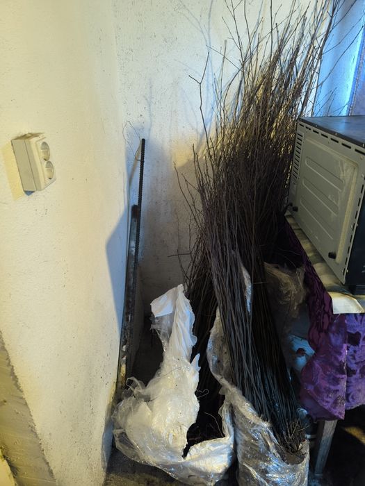 Salcâm și plop de vânzare