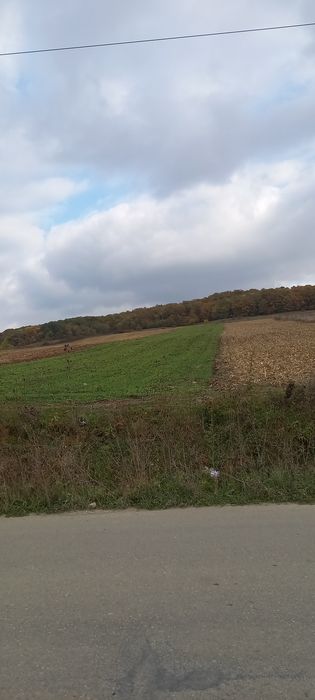 Vand 1,2 ha de pamant intravilan in judetul Salaj