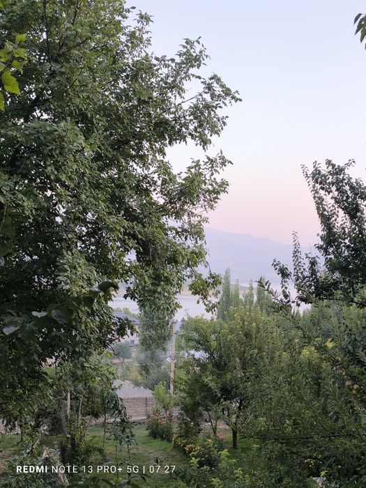 Sijjakda yer sotiladi 6 soʻtix