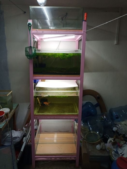 продам стойку и аквариумы