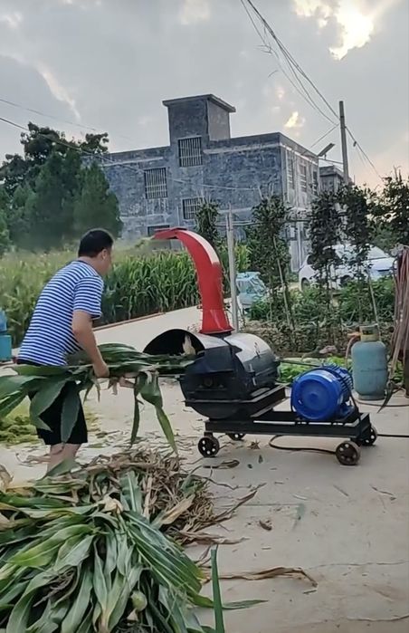 Драбилка Жоди Ут маудалагич