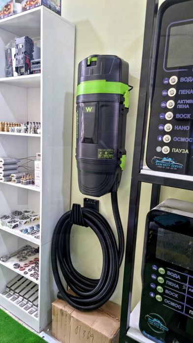 Pilesos (Optom va donaga)