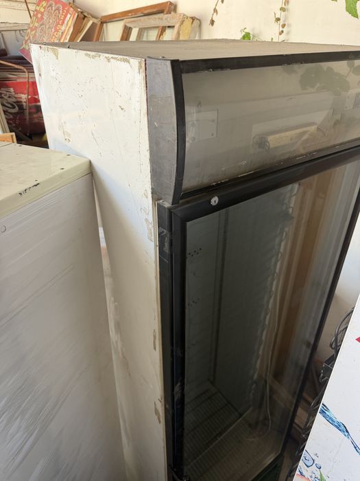 Vitirina xoladenik kottasi