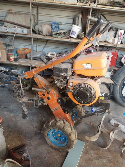 Жыныстық сыныптастар Лесозаводск