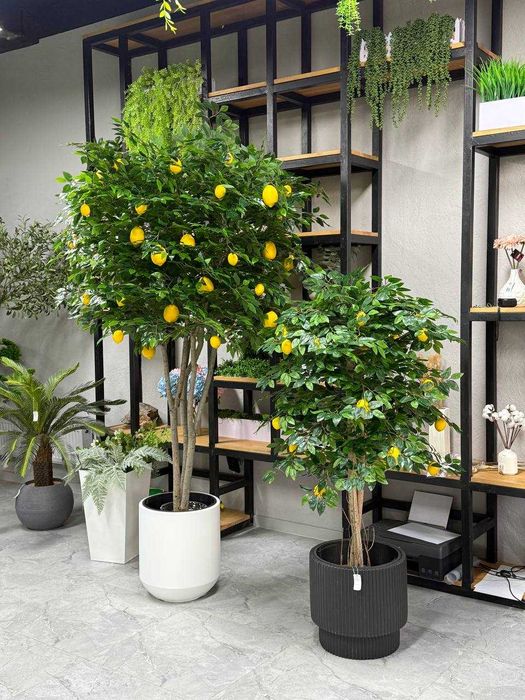 Искусственные лимоны и мандарины — сочные интерьерные деревья