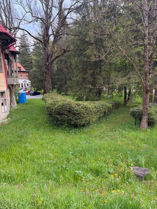 Se Vinde Vila în zona ultracentrală a Borsecului!!!