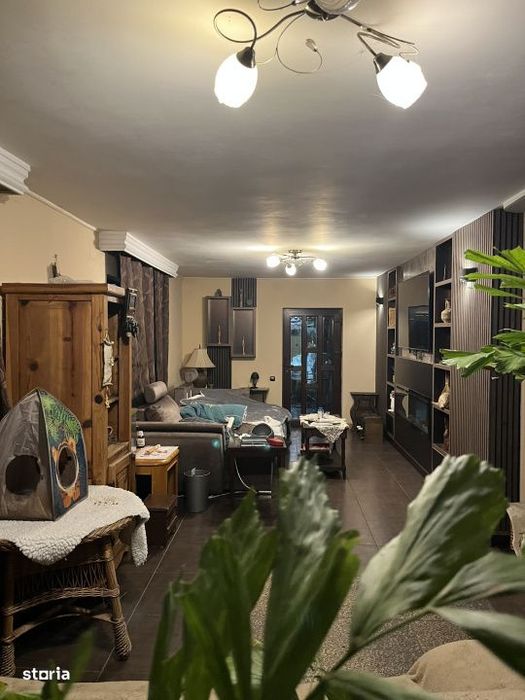 Casa 360 mp utili, spatiu comercial, teren 400 mp – Malu Rosu
