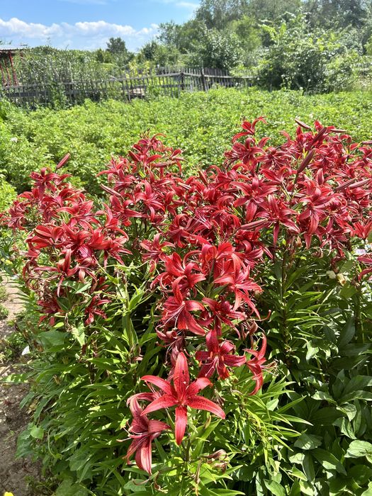 Продам Дачу на Уралочке