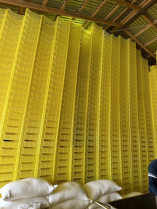 Яшик для сельхоз продукции