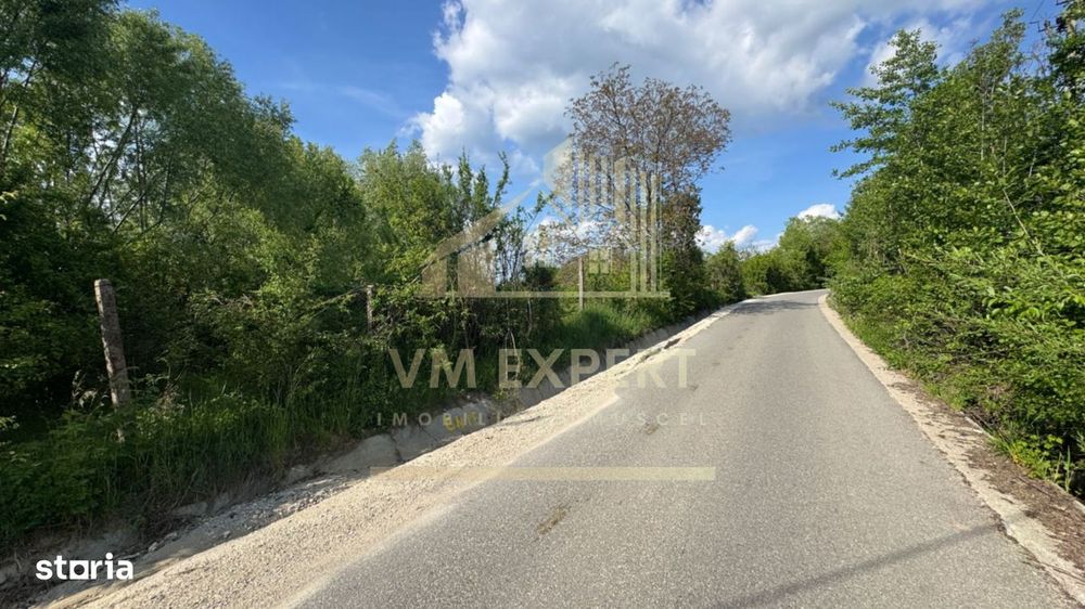 Teren Intravilan 2943 Mp Campulung
